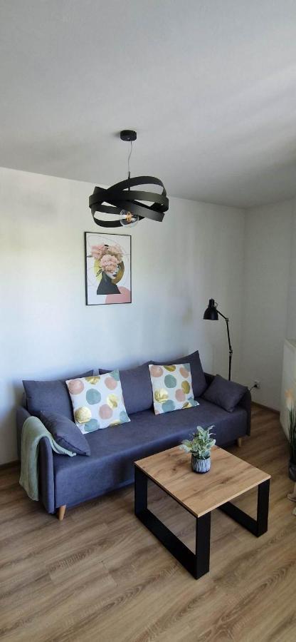 Cosy Apartment W Poblizu Tauron Arena Krasków Eksteriør bilde